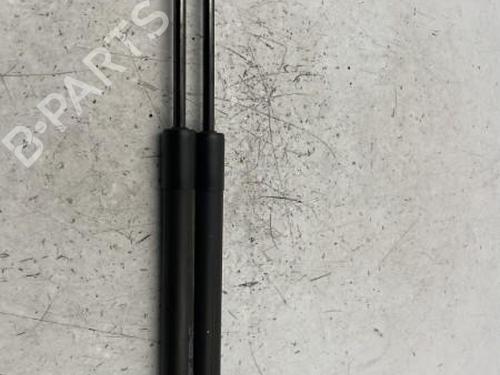 Tailgate lift support PEUGEOT 208 I (CA_, CC_) 1.4 HDi | BP22834106C138