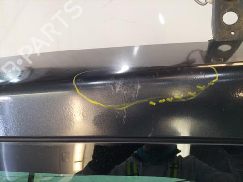 Coffre RENAULT ESPACE IV (JK0/1_) 2.0 dCi (JK01, JK02, JK1J, JK1K, JK1H) | BP30650241C6