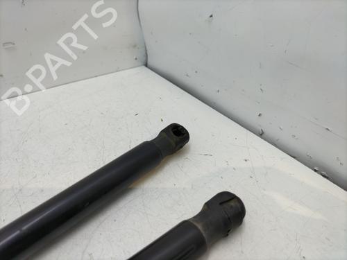 Tailgate lift support PEUGEOT 5008 (0U_, 0E_) 2.0 HDi | BP29834100C138 