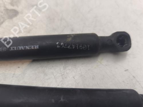 Tailgate lift support DACIA SANDERO II  | BP27545896C138 