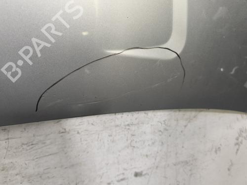 Hood DACIA SANDERO 1.5 dCi | BP30200228C1