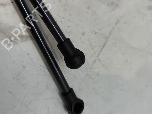 Hood lift support DACIA DUSTER (HM_) 1.5 dCi 110 (HMAB) | BP27706113C139