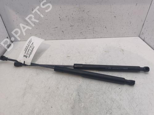 Tailgate lift support DACIA SANDERO II | BP27525172C138 - Image 2