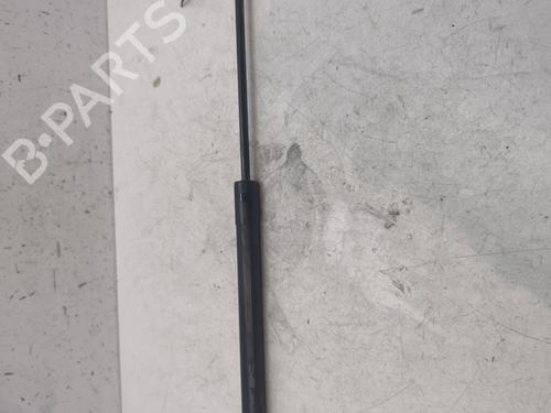 Hood lift support DACIA SANDERO II  | BP27545895C139 