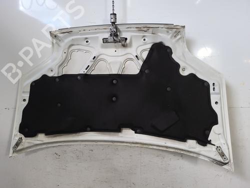 Hood FORD TRANSIT CONNECT (P65_, P70_, P80_) 1.8 TDCi | BP27631676C1