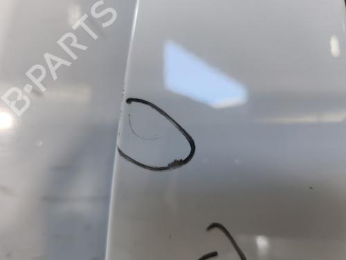 Right rear door RENAULT CLIO III (BR0/1, CR0/1) 1.5 dCi | BP29598736C5 
