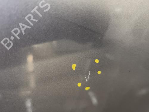 Right front door RENAULT MEGANE III Coupe (DZ0/1_) 1.6 dCi (DZ00, DZ12, DZ2A, DZ13) | BP32403448C3 