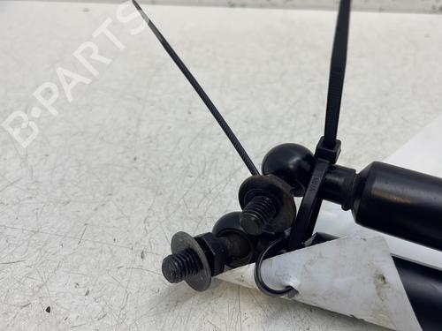 Tailgate lift support SUBARU JUSTY IV 1.0 (M300) | BP29438678C138 