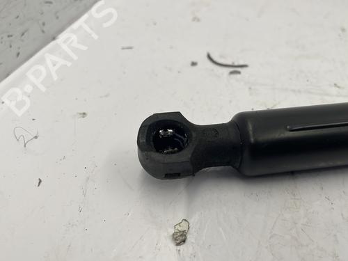 Used Hood lift support DACIA SANDERO II 1.2 (75 hp) 25120766