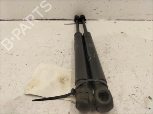 Hood lift support LAND ROVER RANGE ROVER EVOQUE (L538) 2.0 D 4x4 | BP22846906C139 