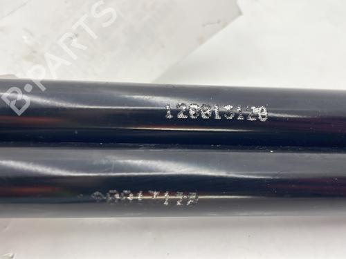 Tailgate lift support DACIA SANDERO 1.2 16V LPG | BP31987961C138