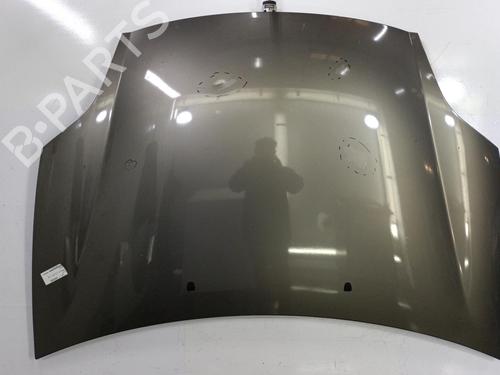 Used Hood FIAT BRAVO II (198_) 1.9 D Multijet (198AXB1A) (120 hp) 22818790