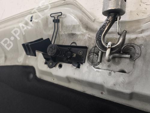 Hood RENAULT MASTER III Van (FV) 2.3 dCi 110 FWD (FV0R, FV0W, FV1A) | BP32228362C1 