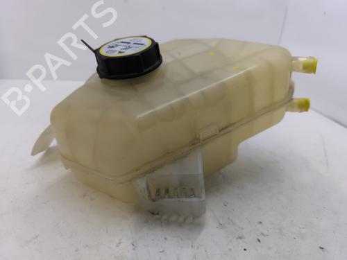 Expansion tank FORD FIESTA VI (CB1, CCN) 1.4 TDCi | BP29193981C120 