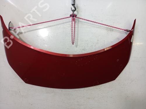 Hood RENAULT SCÉNIC II (JM0/1_) 1.5 dCi (JM1E, JM16) | BP22820669C1 
