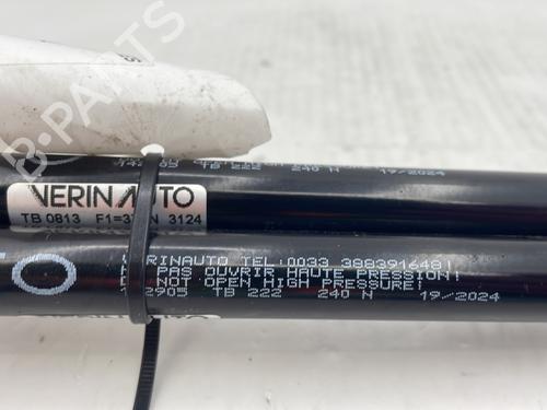 Tailgate lift support DACIA SANDERO 1.2 16V LPG | BP31987961C138