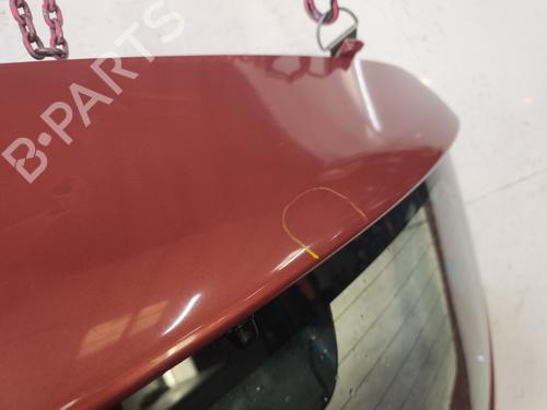 Tailgate DACIA SANDERO II 1.5 dCi | BP32205100C6 