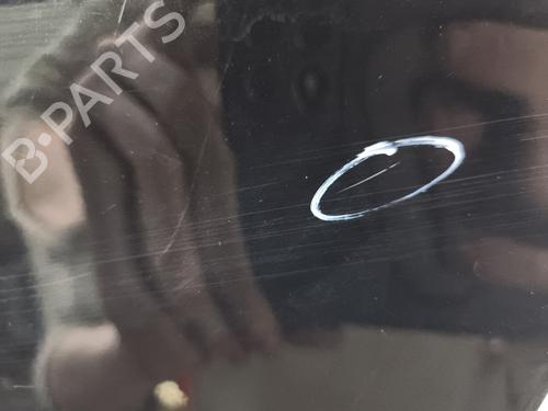 Left rear door RENAULT ZOE (BFM_) ZOE | BP29598788C4 