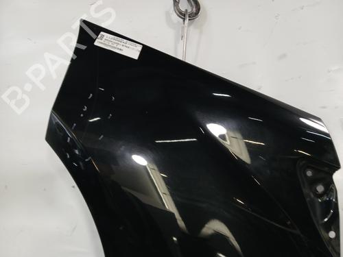 Left front fenders MERCEDES-BENZ A-CLASS (W169) A 170 (169.032, 169.332) | BP29466580C41 
