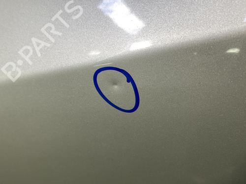 Left front door RENAULT LAGUNA II (BG0/1_) 1.9 dCi | BP22827729C2 