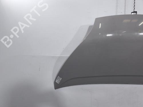 hood-bluecar-blueutility-2011-39894036 main image