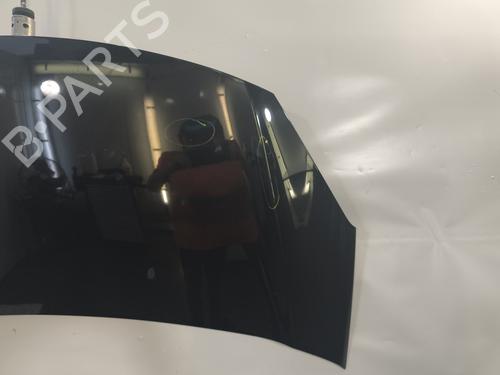 Hood CITROËN C3 II (SC_) 1.6 HDi | BP29054635C1 