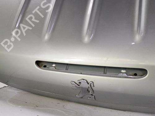 Bakluke CC/Kombi-Kupé PEUGEOT 206 CC (2D) 1.6 16V (2DNFUF, 2DNFUR) (109 hp) 22823127