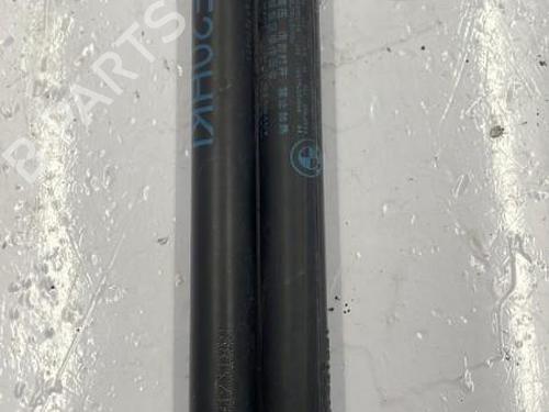 Tailgate lift support BMW 1 (F20) 116 d | BP22839307C138