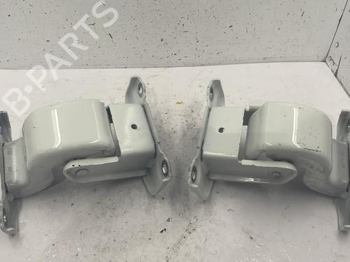 Hinge/Door check strap RENAULT TRAFIC III Van (FG_)  | BP25720256C146 