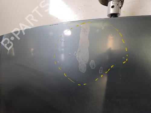 Used Hood Hood PEUGEOT 1007 (KM_) 1.6 16V (109 hp) 33737339 33737339