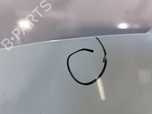 Tailgate RENAULT CLIO III (BR0/1, CR0/1) 1.5 dCi | BP29598735C6 