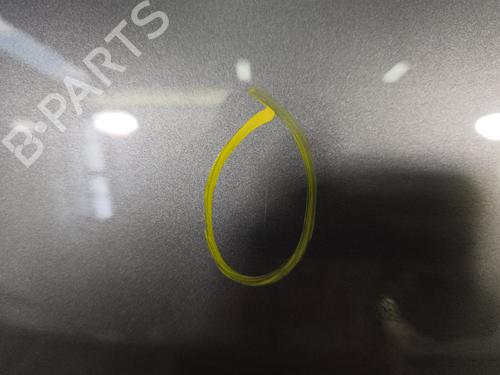 Right rear door RENAULT SCÉNIC III (JZ0/1_) 1.5 dCi | BP29869057C5 