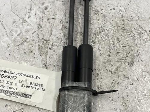 hood-lift-support-renault-zoe-bfm_-2012-24664460 main image