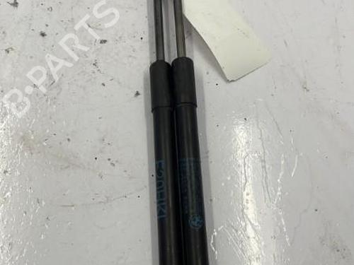 Tailgate lift support BMW 1 (F20) 116 d | BP22839307C138