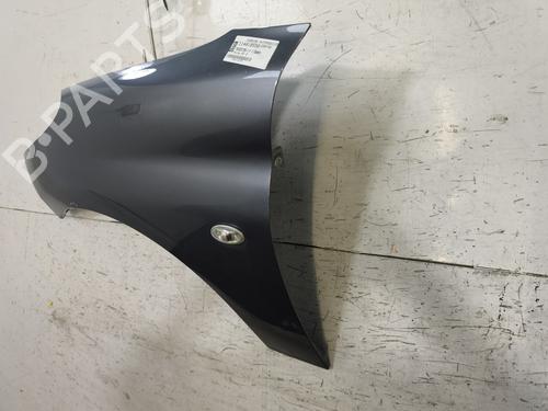 Left front fenders PEUGEOT 206+ (2L_, 2M_) 1.1 | BP30162361C41
