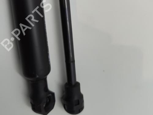 Tailgate lift support RENAULT ZOE (BFM_) ZOE (BFMC, BFMD) | BP25899542C138