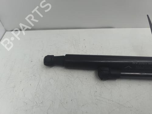 tailgate-lift-support-dacia-duster-hs_-2010-2011-2012-2013-2014-2015-2016-2017-2018-33205923 main image