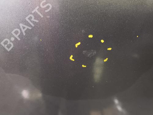 Used Hood Hood PEUGEOT 308 I (4A_, 4C_) 1.6 HDi (90 hp) 34412610 34412610
