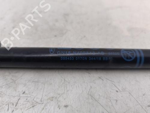 Tailgate lift support FORD ECOSPORT 1.0 EcoBoost | BP29438982C138 
