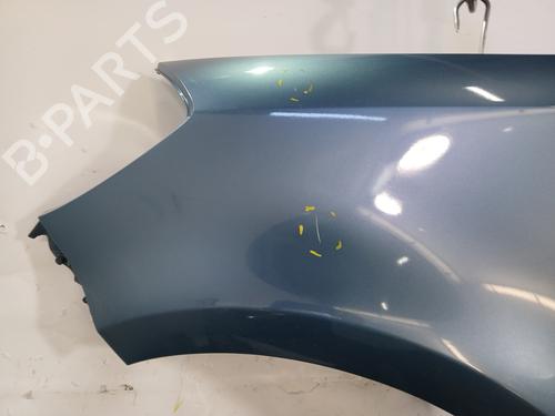 Left front fenders RENAULT CLIO III Grandtour (KR0/1_) 1.5 dCi | BP29540978C41 