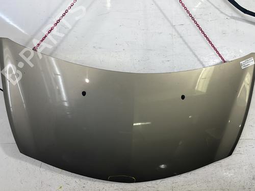 Used Hood RENAULT CLIO III (BR0/1, CR0/1) 1.5 dCi (88 hp) 25758095