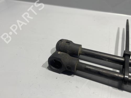 Hood lift support RENAULT KANGOO / GRAND KANGOO II (KW0/1_) 1.5 dCi 90 (KW05, KW08, KW0G, KW11) | BP29438620C139 
