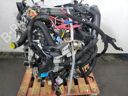 Motor RENAULT TRAFIC III Bus (JG_) [2014-2025]  25030371
