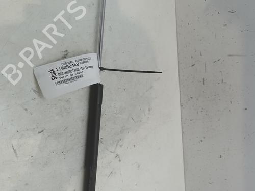 Hood lift support DACIA SANDERO II TCe 90 (B8M1, B8MA, B8AC) | BP27982723C139 