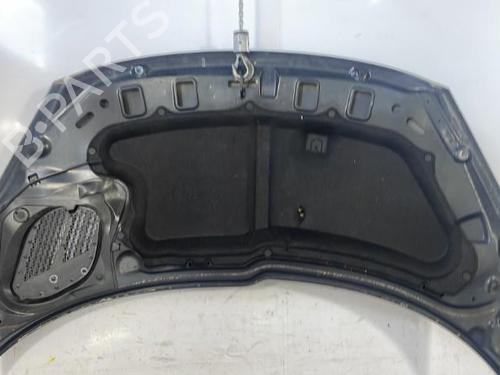 Used Hood PEUGEOT 206+ (2L_, 2M_) 1.4 HDi eco 70 (68 hp) 22837196