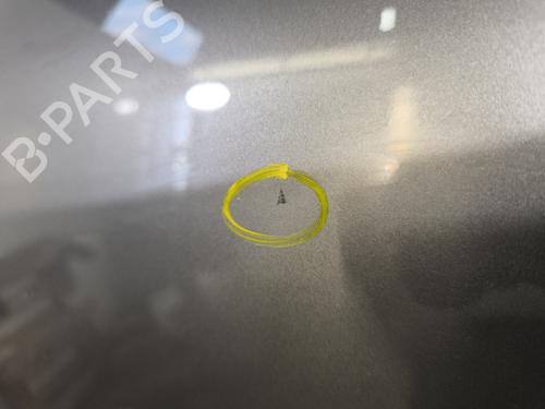 Left rear door RENAULT SCÉNIC III (JZ0/1_) 1.5 dCi | BP29869058C4