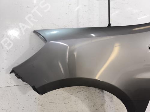 Left front fenders RENAULT CLIO III (BR0/1, CR0/1) 1.5 dCi (C/BR0G, C/BR1G) | BP28369999C41 