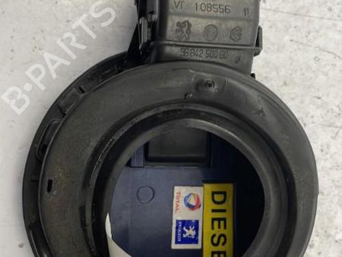 Fuel flap CITROËN C4 Grand Picasso I (UA_) 2.0 HDi 138 | BP22832683C131