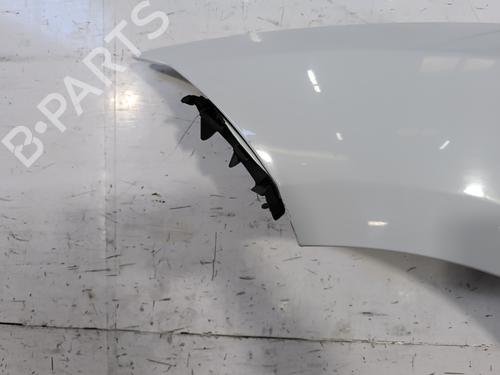 Left front fenders RENAULT MEGANE III Hatchback (BZ0/1_, B3_) 1.9 dCi (BZ0N, BZ0J) | BP25758097C41 