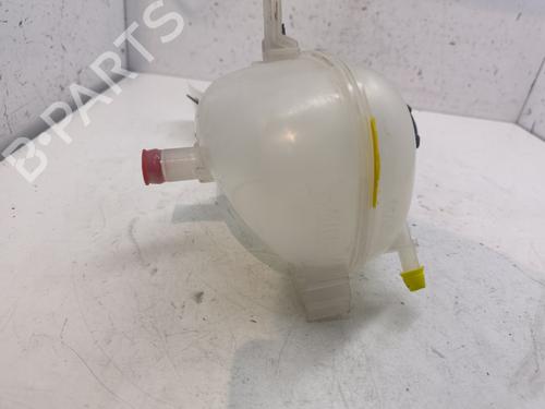 Expansion tank RENAULT TWINGO III (BCM_, BCA_)  | BP27348076C120 